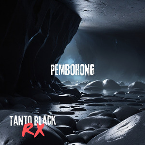 Pembohong