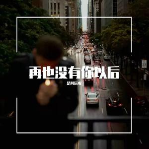 再也没有你以后