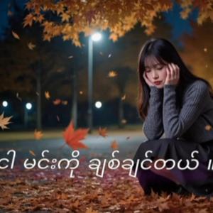 ငါ မင်းကို ချစ်ချင်တယ် ။