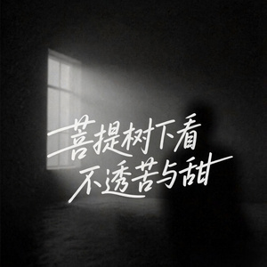 菩提树下看不透苦与甜