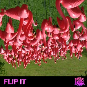 Flip It