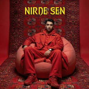 Nirde Sen