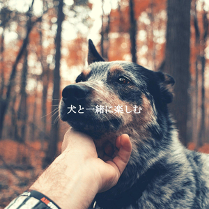 Memories (Recharging Days)