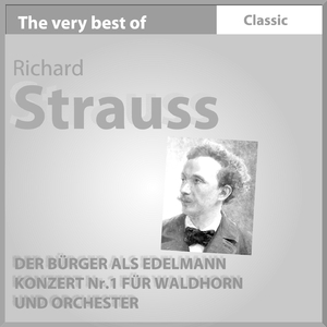 Der Bürger Als Edelmann: Orchestral Suite, Op. 60 - ''der Fechtmeister''. Ziemlich Lebhaft