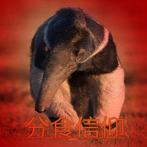 分食信仰