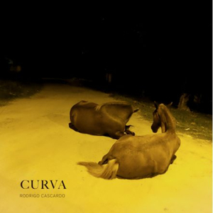 Curva