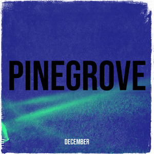 Pinegrove