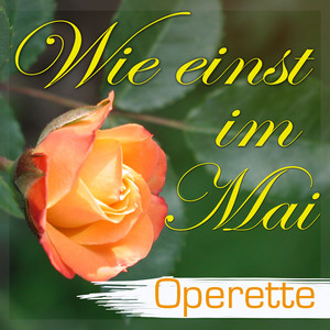 Geburtstags-Ensemble