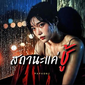 สถานะแค่ชู้