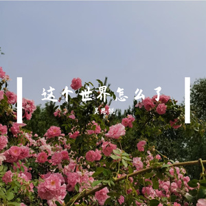 这个世界怎么了