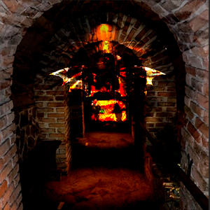 Presidiário do Meu Calabouço