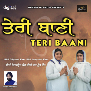 Teri Baani