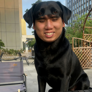 预见美好背后的悲伤与泪水