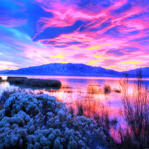 파이어스톰 퓨리