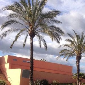 Light My Dody Up NBA (DuyB Mashup)