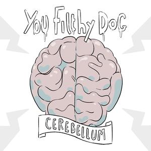 Cerebellum