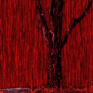 Bloody Rain