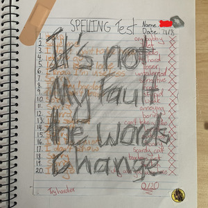 It's Not My Fault the Words Change