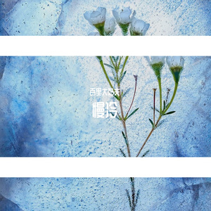 慢冷(Live) （cover 张碧晨&希林娜依·高）