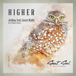 Higher (Radio Mix)