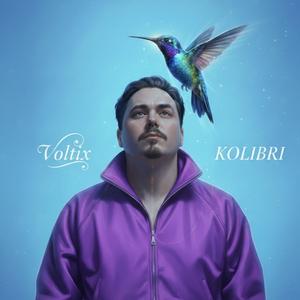 Kolibri