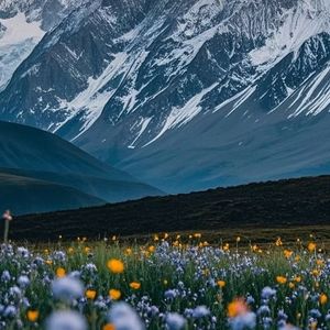 咸湿海风里的思念