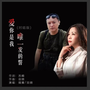 爱你是我唯一发的誓