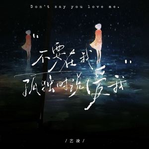不要在我孤独时说爱我