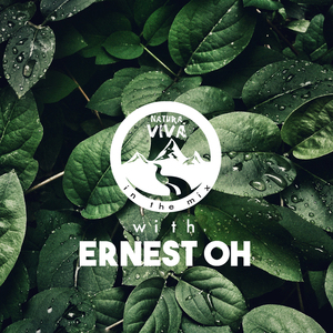 Underground (DYI Mob & dnaser Remix)