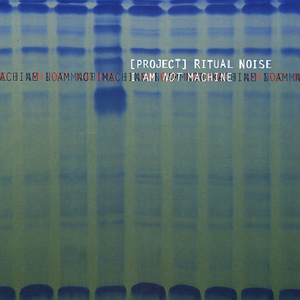 Dementophobia (Иллюзий больше нет)