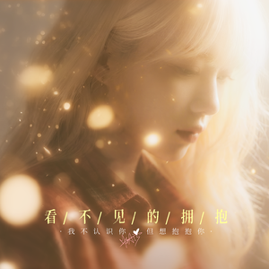 看不见的拥抱（多语言版）