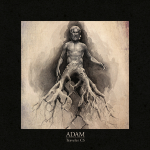 A Sudden Burst of Light