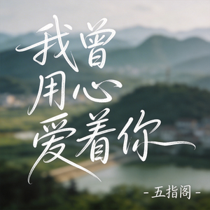我曾用心爱着你（抖音热播版）