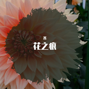 花之痕