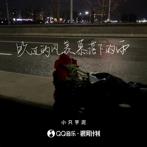 吹过的风羡慕落下的雨