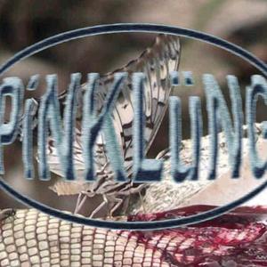 ησятн ℓαιя