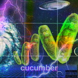 cucumber