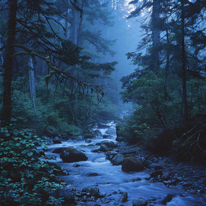 Latidos Binaurales Para La Comodidad