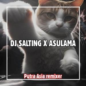 DJ SALTING X ASULAMA SOUND VIRALL