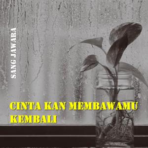 Cinta kan Membawamu Kembali