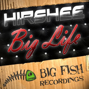 Big Life (Original Mix)