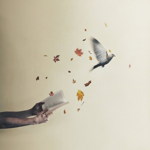 In The Lab (Spire and Shipwrecked Remix)