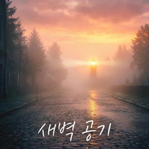 새벽 공기