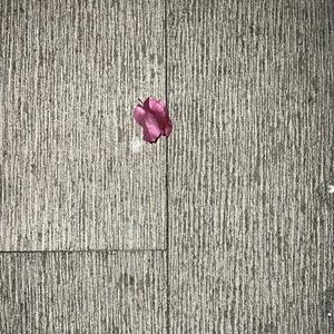 Enn ein áramót (feat. Atli Jas)