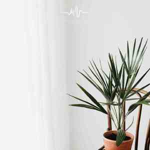 云光暖 (卡林巴琴)