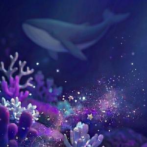 가라앉은 보물함