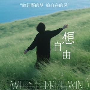想自由（原唱: 林宥嘉） （伴奏）