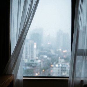 雾中归