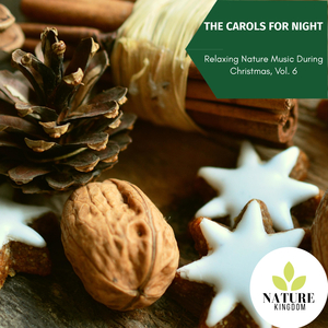 Sentinel Birds in The Forest