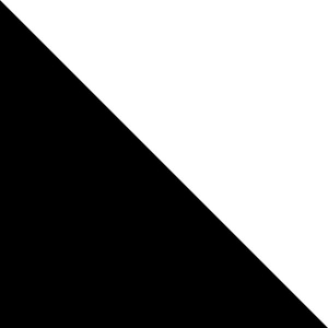 今日死にましょう 明日生きましょう